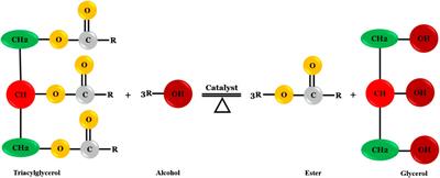 A Mini Review on the Cold Flow Properties of Biodiesel and its Blends